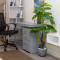 Capital M by BednBeyond, Westlands Nairobi, Kenya, Everest Line