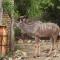 Elephant Memories Glamping Safari Tents and more