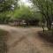 Elephant Memories Glamping Safari Tents and more