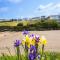 Y Geraint Beach Apartment Aberporth - Aberporth