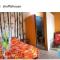Shoffis House Backpackers