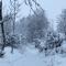 Le Chalet du Hohwald