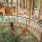 Wellness Hotel Gyula