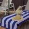 Fairways Beach House - Pool, Golf, Sawtell Village, Family Friendly