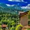 Pensiunea Roua - Mountain View