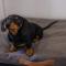 Crackers - Pet Friendly, Jetty Location, Walk to Restaurants