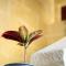 A la maison B&B