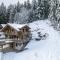 Chalet Aconit, terrasse panoramique avec jacuzzi et sauna - 热拉梅