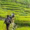 Moc Home Sapa