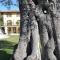 Il Roncal Wine Resort - for Wine Lovers