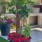 Luxury apartments Brijuni