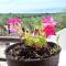 Eco Charming Puglia Villa Simone