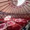Ethno Yurt Camp Arashan - Mineralʼnyy Istochnik Altyn-Arasan
