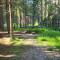 Cabana Cetatile Ponorului - Padis Premium Lodge