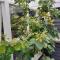 The Treehouse by Airlie