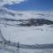Cedars Palace