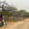 Kruger Park Hostel