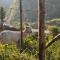 La Casa Verde Eco Guest House