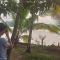 Green Island Homestay Riverside