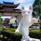 Jk Home 36Pax ComboStay 12BedR 11BathR 6Carpark - Kuching
