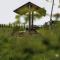 Blog House Resort