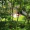 Logement entier dans village calme - 吉维瓦尔