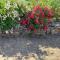GITE DANS VIGNOBLE ALSACIEN - 韦斯特哈尔滕