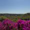 Orihuela - Las Ramblas - Casa Pino