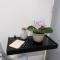 Casa Cremerie Suites