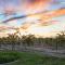 Grenache Estate - Nestled in Temecula Wine Country - Temecula