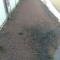Budget Ceduna Homestay