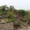 Meera Valley Resort By Nexottel