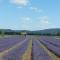 Chambre chez lhabitant les garrigues