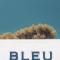 Bleu Hôtel & Spa