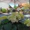 Hotel-Gasthof Rose - 奥伯基希