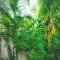 Green Stay Village