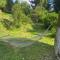 Piccola foresta