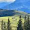 Lochner Alm