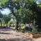 The Forest House Krk 2