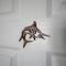 Coastal Getaway in Paradise - Flic-en-Flac