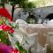 Les Geraniums photo 23
