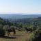 Le Bosquet des Dômes - Panorama des Puys à Cheval - 沙泰勒吉永