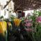 Fattoria Il Noce B&B