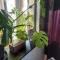 Villa Oriel 2 à NEUFCHATEL-HARDELOT logement entier - 讷沙泰勒阿尔代洛