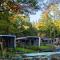 Atmospheric chalet with terrace in the middle of the Veluwe - Hoenderloo