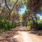 Chalet Vignarola - Happy Rentals - 奥尔贝泰洛