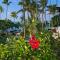 Oceanfront, big and cozy apt in Aligio - Las Terrenas