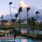 Palm View