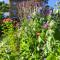Green Home - La Roche-Guyon - Adults Only