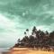 paddy farm beach resort odayam varkala